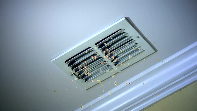Best Ductwork Cleaning Services  in Key Largo, FL
