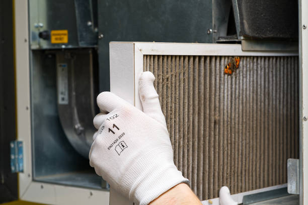 Best Professional Duct Cleaning Services  in Key Largo, FL