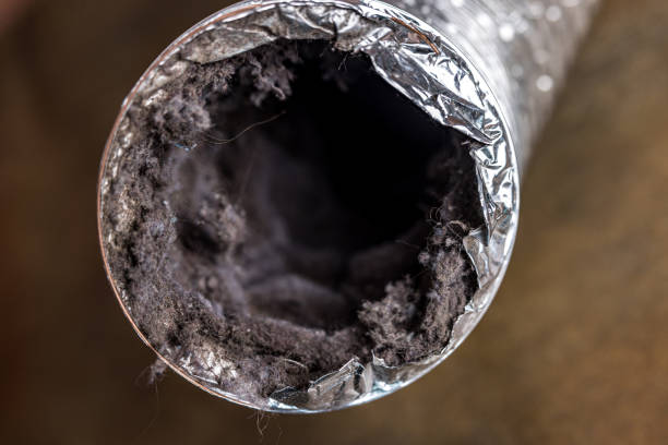 Best HVAC System Cleaning  in Key Largo, FL