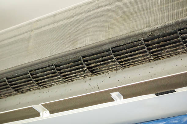 Best Air Duct Cleaning Near Me in Key Largo, FL